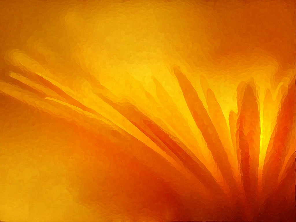 dewdrops, grass, morning, dew, water, reflection, natural, orange nature, orange water, orange grass, orange natural, nature, orange morning